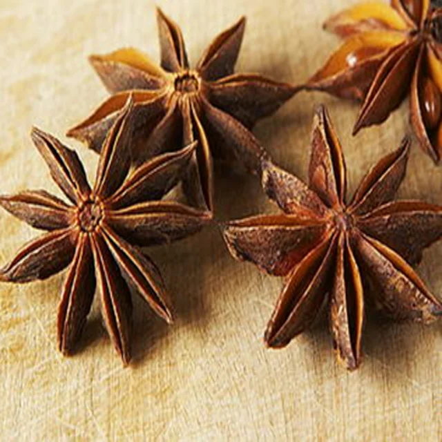 Vietnam Coffee Bean Raw 100% Pure Robusta G Manufacturer Wholesale New Crop Seasoning Raw Top Spices & Herbs Product best price