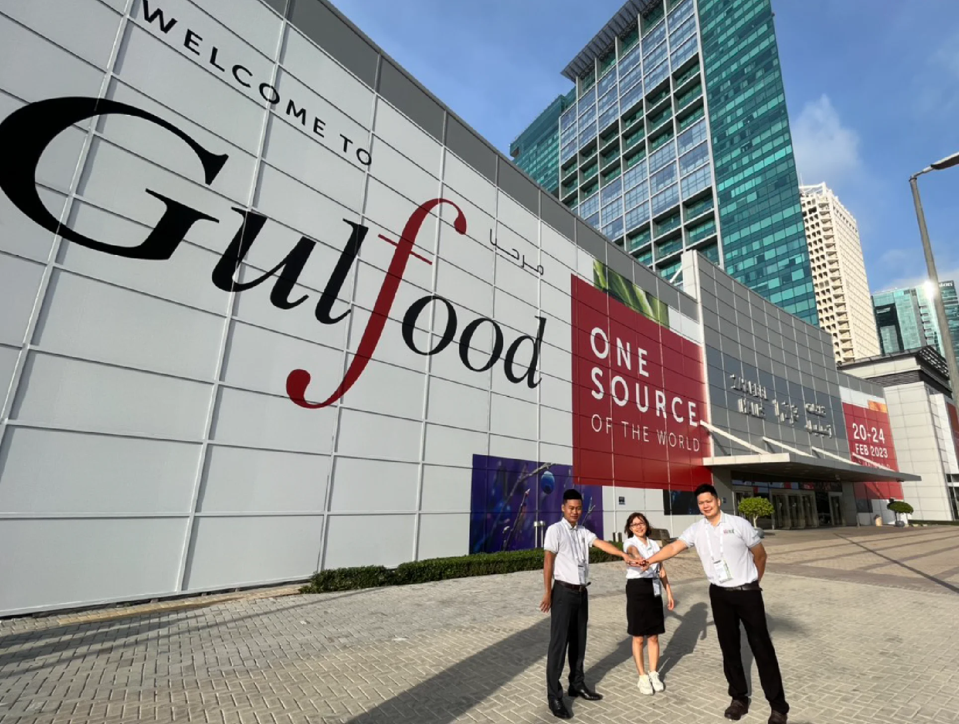 340 мл гранатовых черничных энергетических напитков с игристым винтом бесплатный образец частная марка оптовые поставщики (OEM ODM)