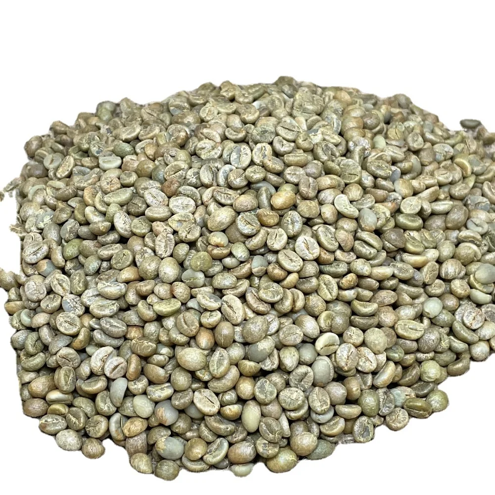 Unroasted Robusta Coffee Beans High Quality Screen 16 Honey Process  Long Shelf Life 98% Maturity from Vietnam