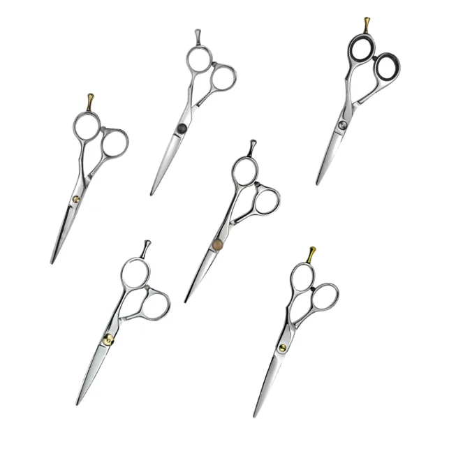 Professional Hair Scissors