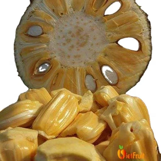 
Vietnam Fresh Jackfruit No chemichals (WS: +84904230236) 