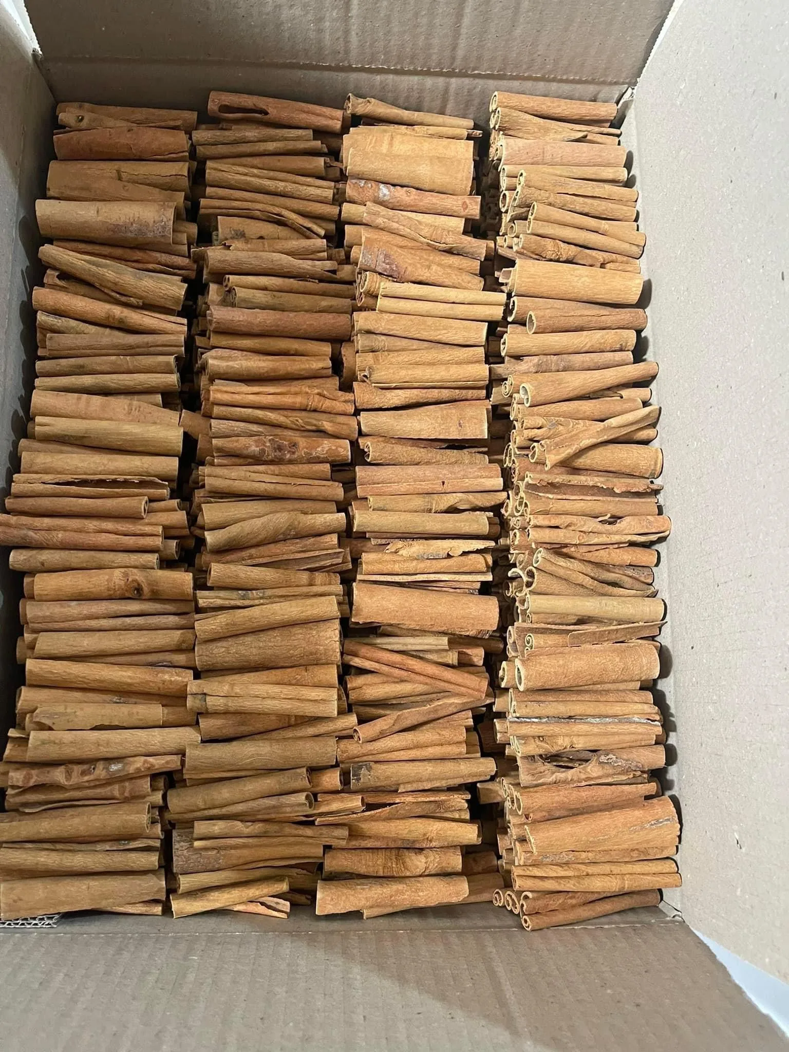 Сигара Cassia/ Rougui/ Cinnamomum Zeylanicum-лучшее значение (WhatsApp: + 84 362512699)