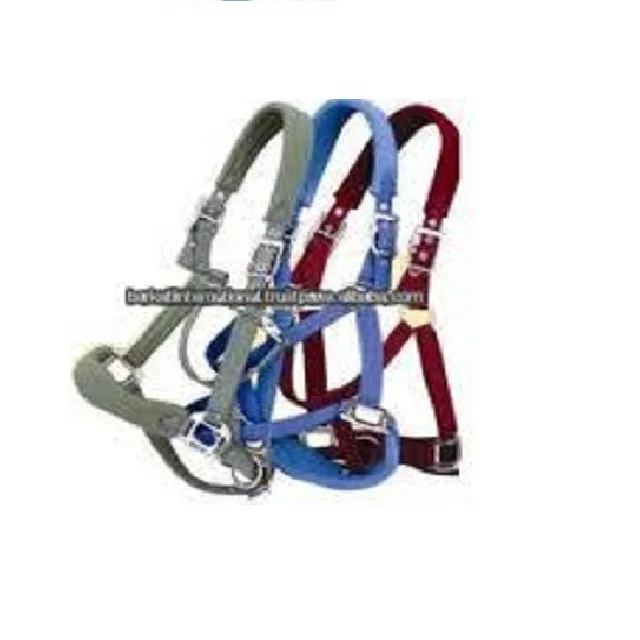 Leather Halter With Chain Lead.