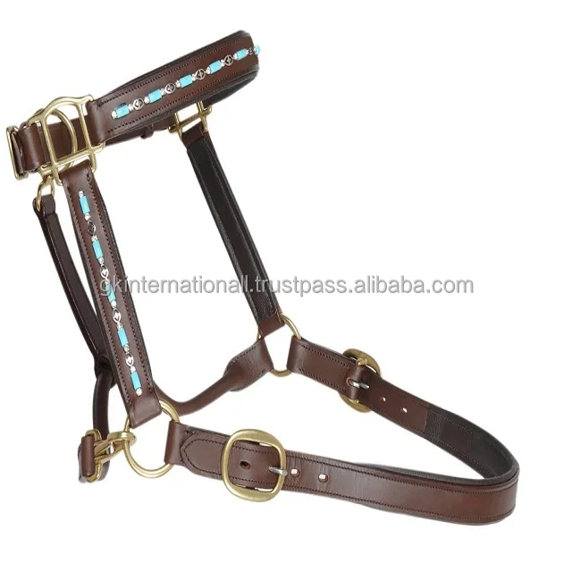 Personalized Turquoise beaded chain inlaid fancy leather horse halter with heavy duty adjustable brass buckle & rings