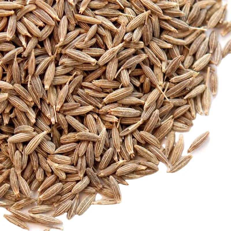Wholesale Export quality high Quality Dried Cumin best cumin