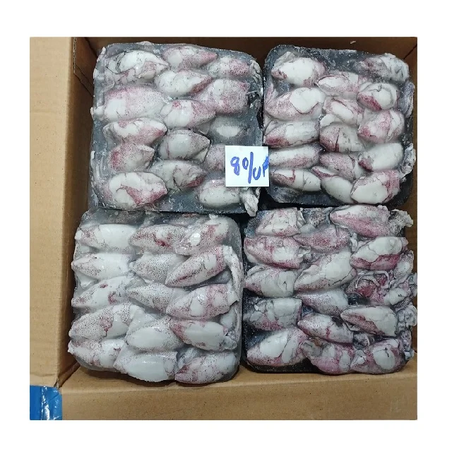 TOP QUALITY FROZEN BABY SQUID BQF FROM INDIA