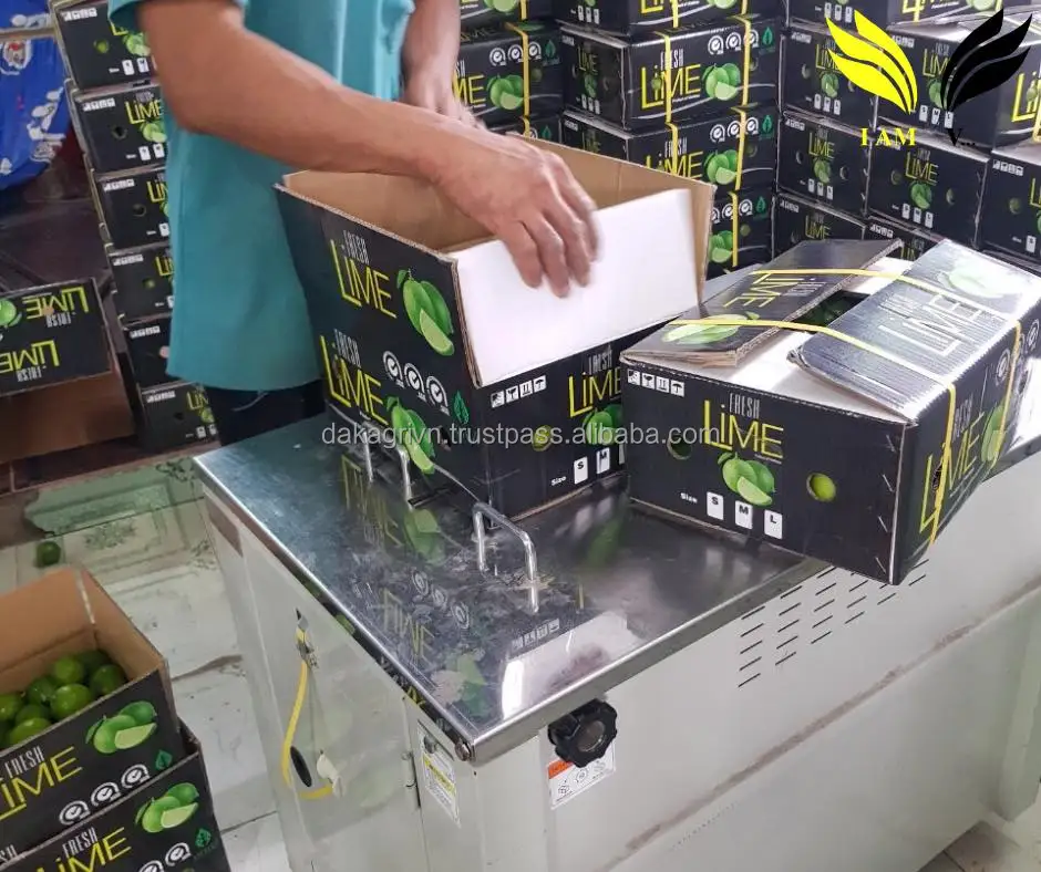 OEM 6.5KG High Quality 100% Fresh Lime Vietnam Common Food Fresh Citrus Fruit Lime With 4 Months Shelf Life