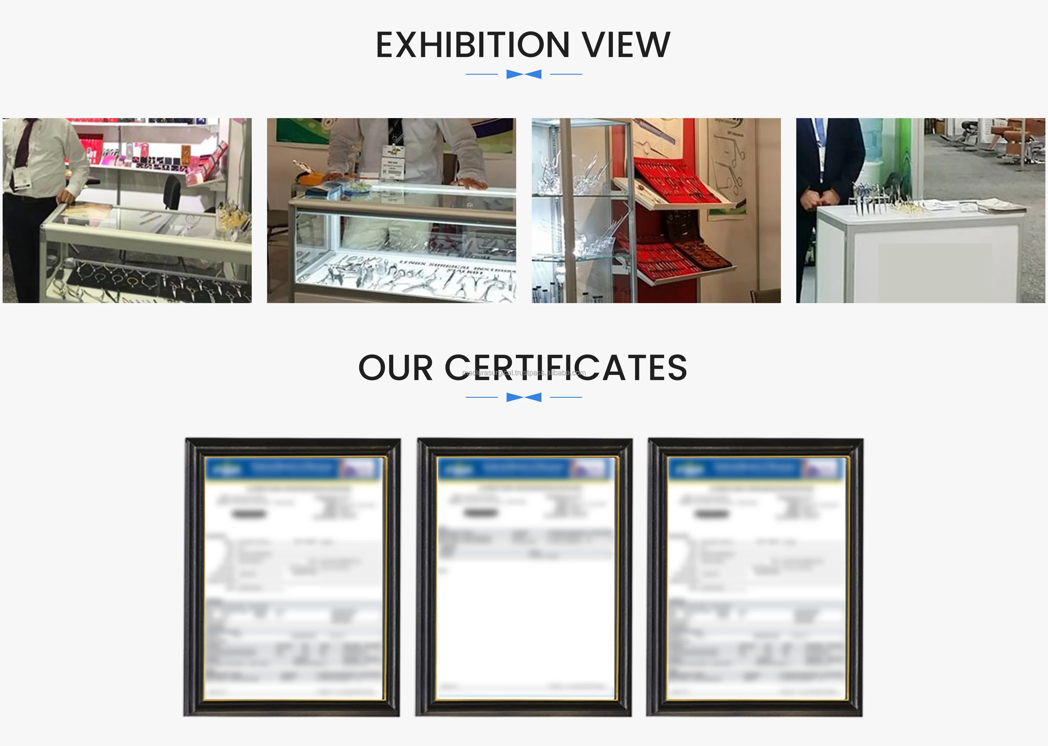 Exibition and Certificate.jpg