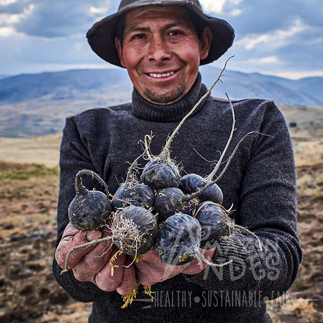 100% Organic Black Maca Root Powder Capsule For Men And Women