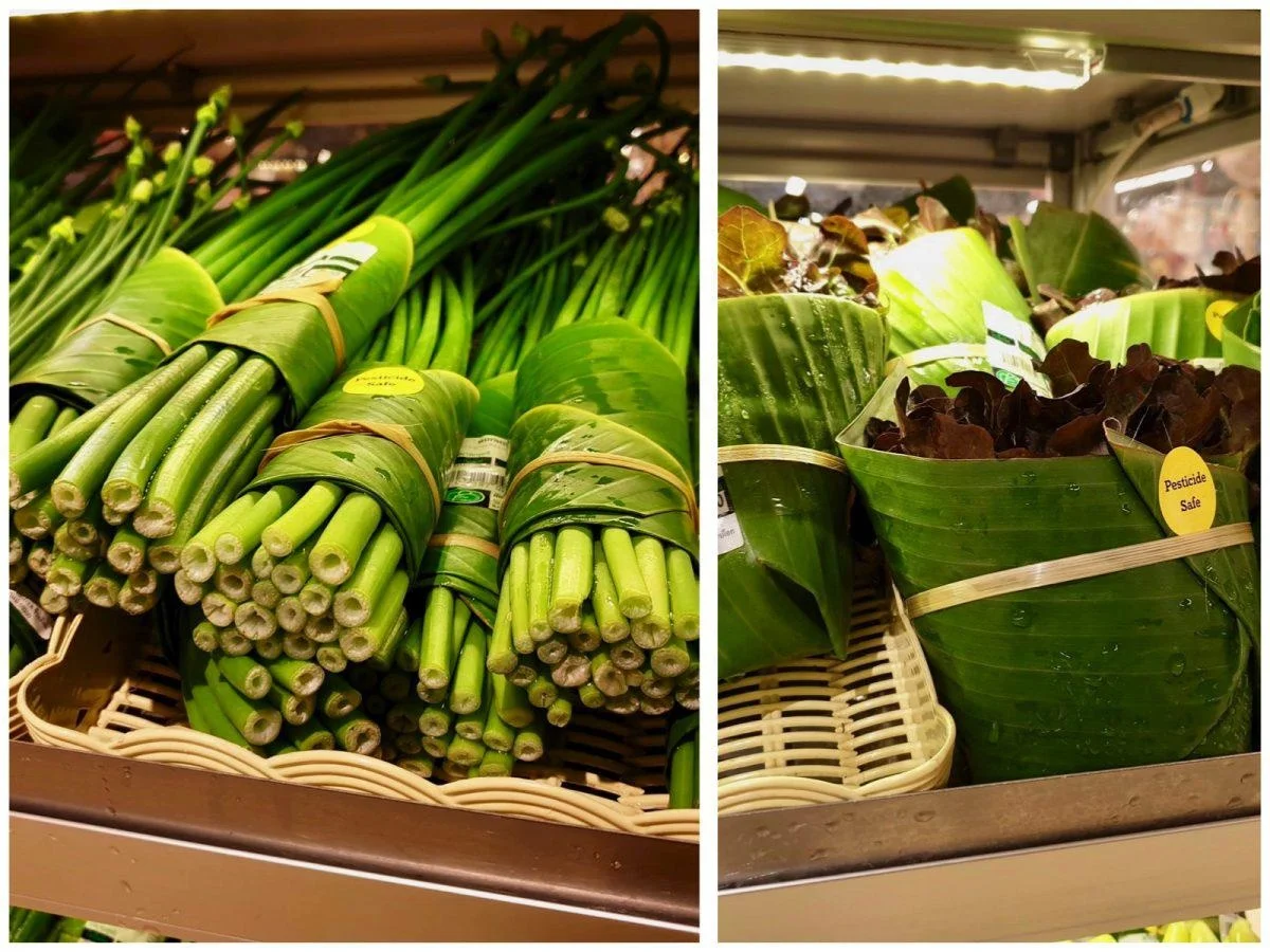 Vietnam Frozen Banana Leaves: 100% Pure and Natural, Biodegradable and Environmentally Friendly