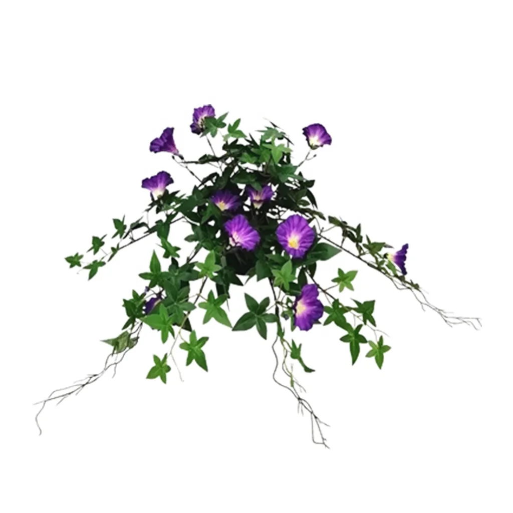 classic Silk Screen cloth white with different colors outdoor everyday medium real looking floral Morning glory in plastic vase