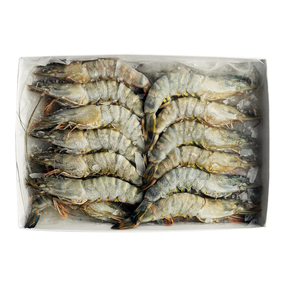 100% Natural Fresh Seafood Delicious Box Packaging (8-10 pcs/kg) Semi-IQF 1 kg/box Frozen Tiger Shrimp