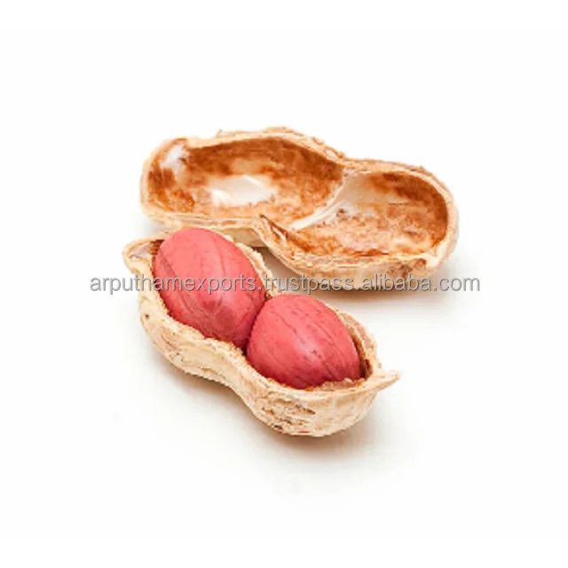 Супер предложение, экспорт арахиса во все страны для продажи, арахис в скорлупе без скорлупы, полипропиленовый пакет