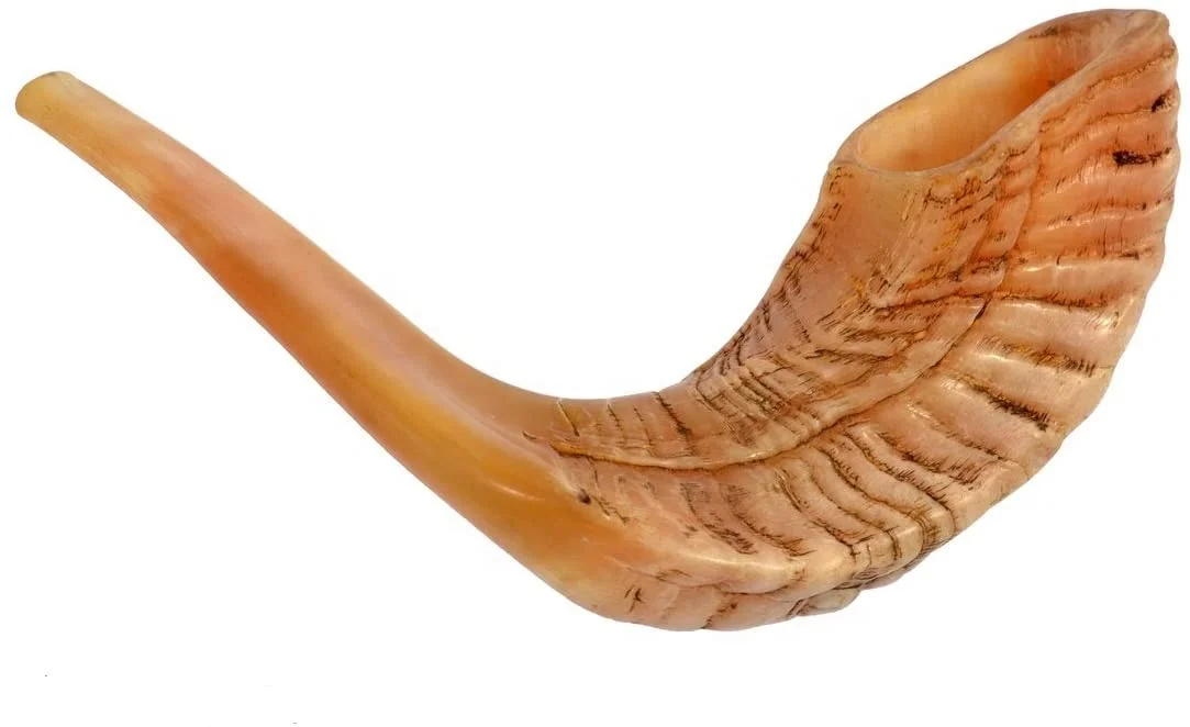 Natural Ram Shofar Horn Medium Size Horn From Israel New Jewish Music By United trade world