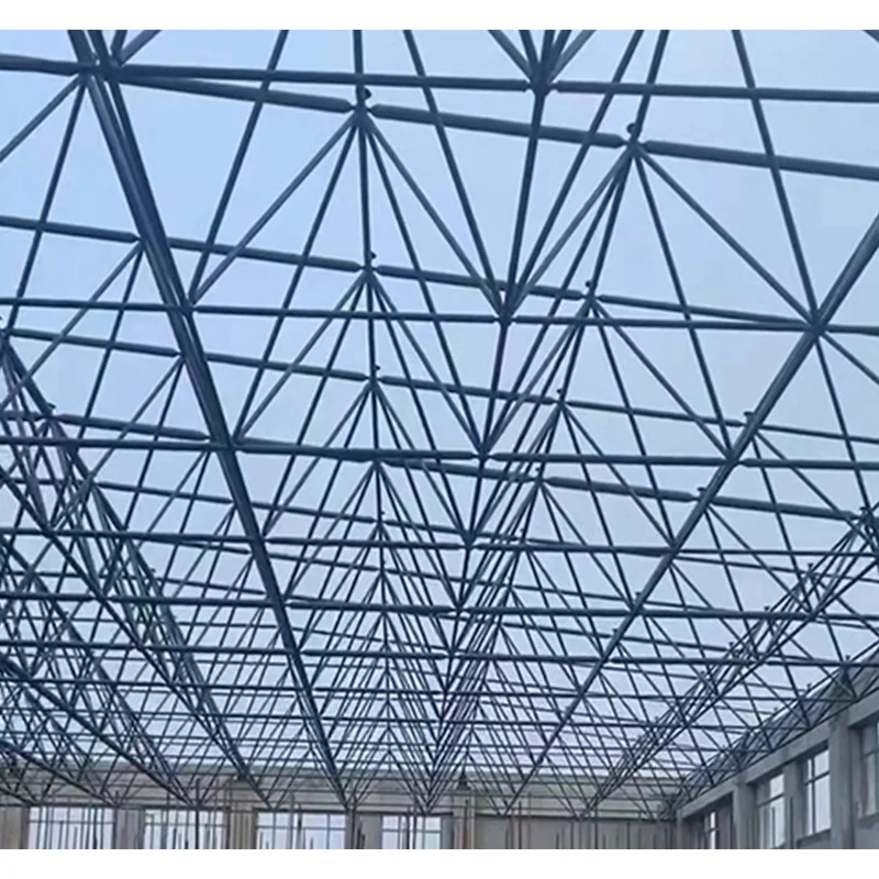 Worldwide Industrial Design Style Wide Span Steel Frame Grid for Sports Hall Gymnasium High-Aesthetics Metal Buildings