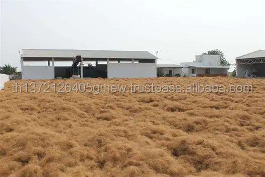 SISAL FIBER BEST PRICE / COCONUT COIR FIBER