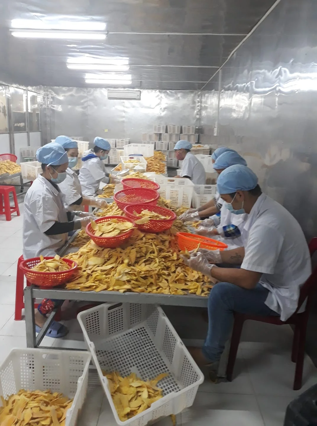 [ Free sample ] Soft Dried Mango Naturally Sweet From Farm Tropical Fruit Snack Soft Dried Mango Slices Prival Label Service