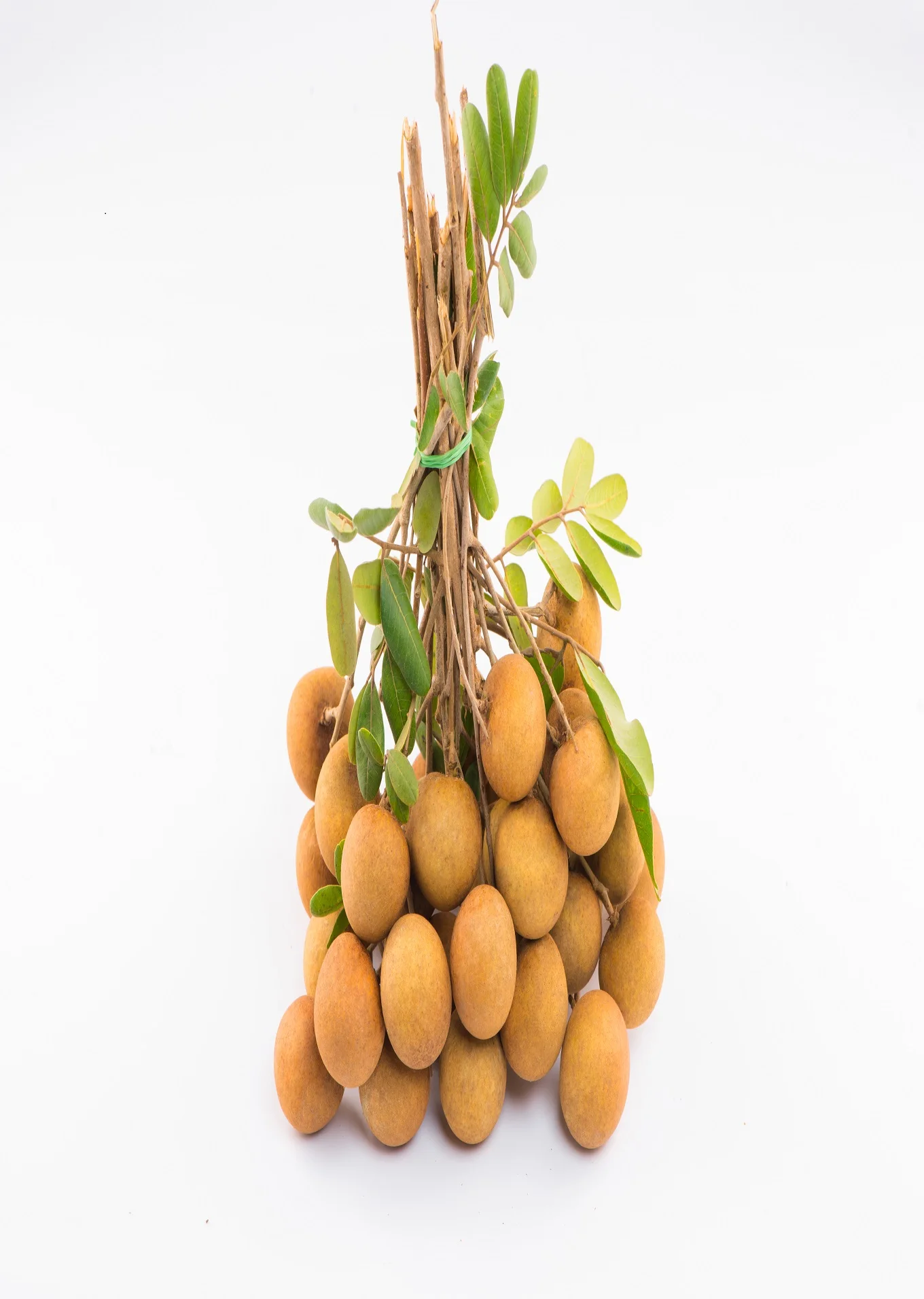 High Grade Fresh Fruit Can Tho Agriculture Sweet Taste >24.5MM Vietnam Longan In Carton Box Packaging