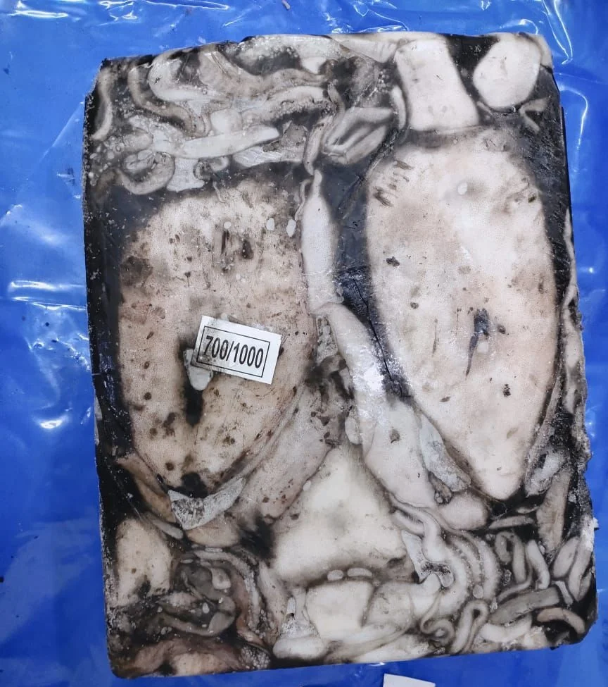 FROZEN WHOLE CUTTLEFISH