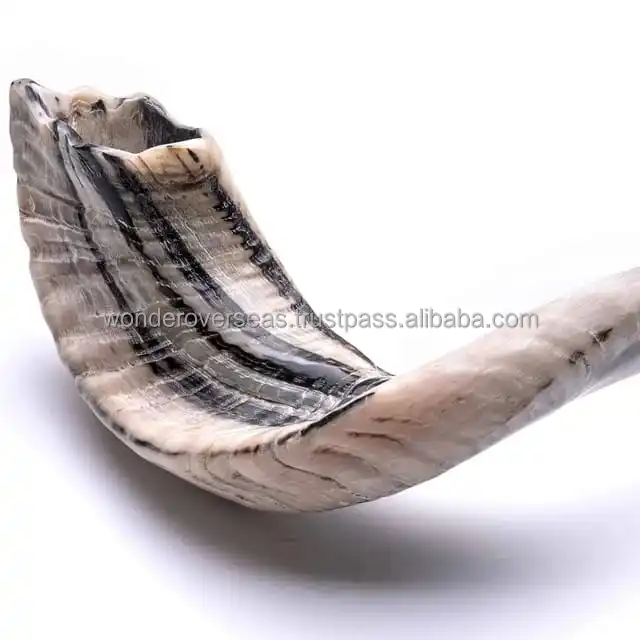 Natural Black Sheep Horn Polished Shofar for Customized Size Cheap Price With Handmade Use for Hot Sale Product BYWONDEROVERSEAS