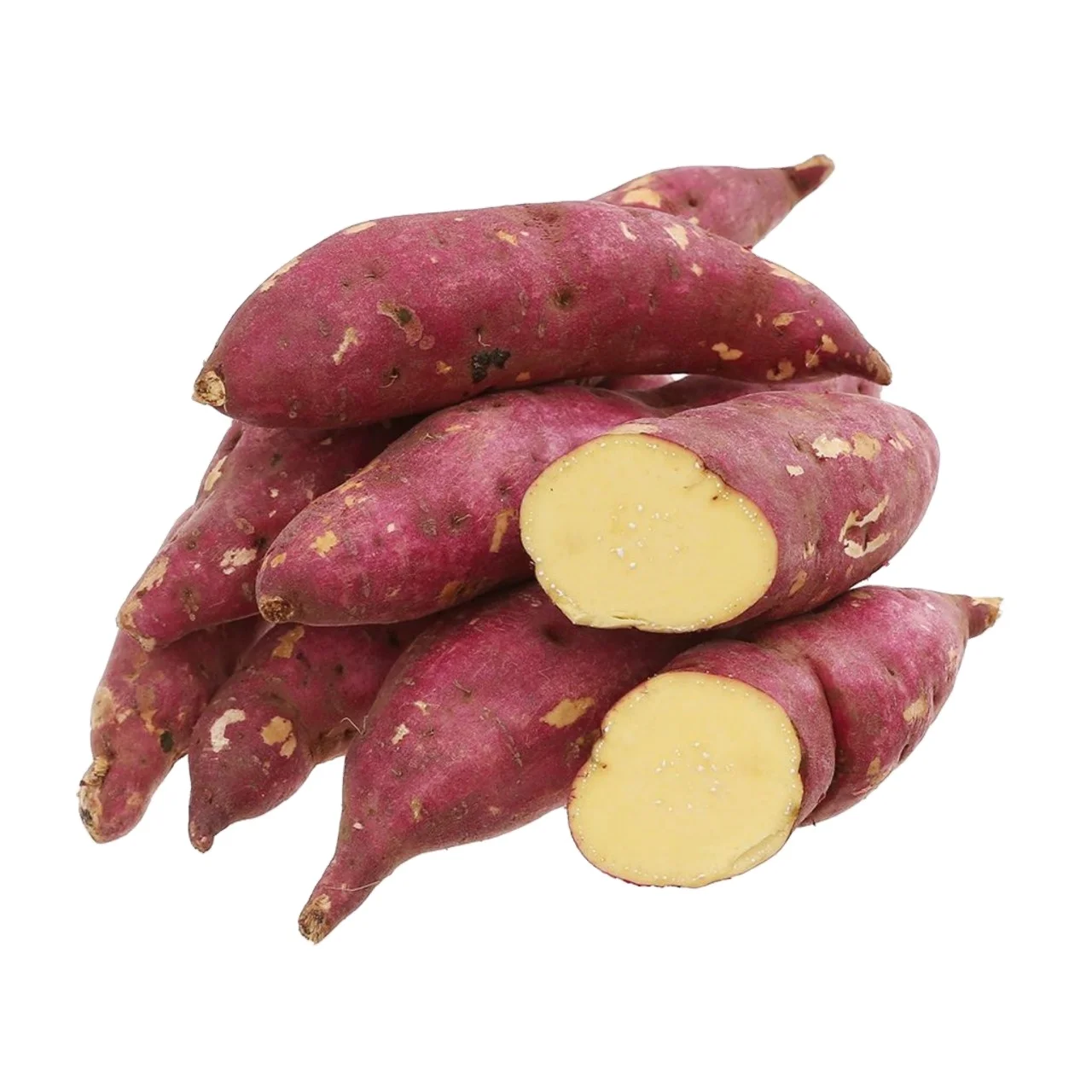 Purple Sweet Potato Premium Quality in Vietnam 150 to 300 grams Fresh Vegetables New Crop