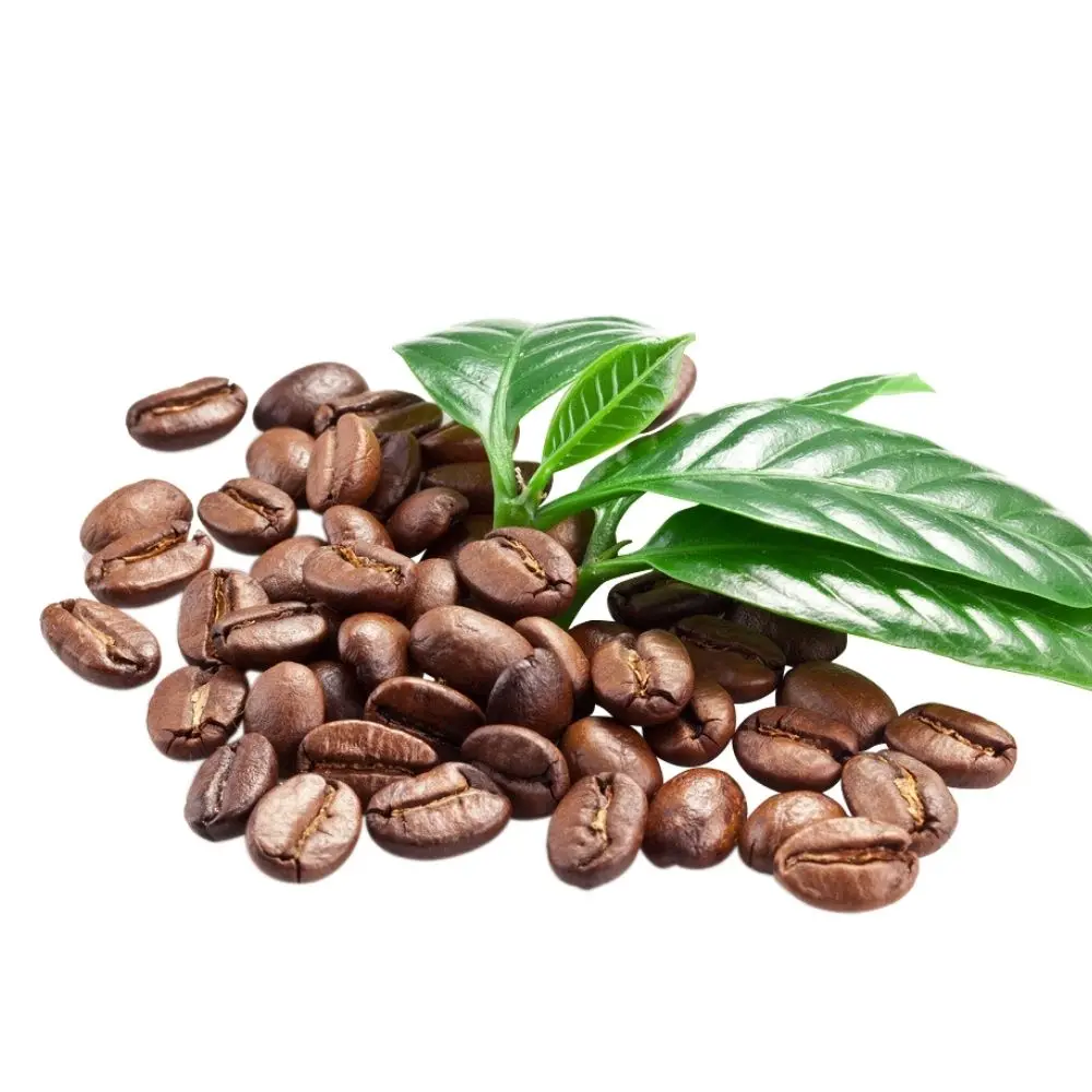 100% Top Quality Roasted Arabica Coffee Bean Best Roasted Coffee Beans for Drinking from Viet Nam Coffee Exporter
