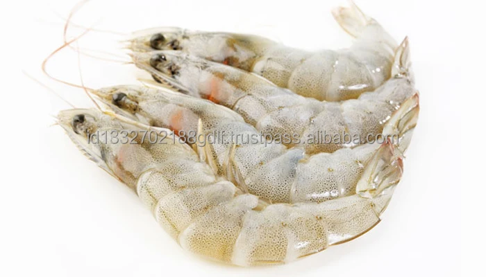 100% High Quality Wholesale White Shrimp/Fresh Water Prawn/Frozen Vannamei Shrimp Feed From Indonesia