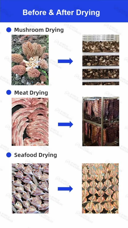 Precision Temperature Control Drying Room Dehydration Drying Cabinetdryer Oven