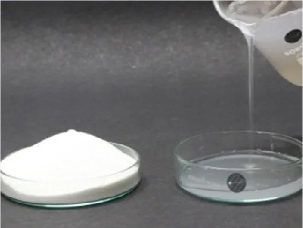 INDUSTRIAL GRADE  PREGELATINIZED STARCH/ ALPHA STARCH HIGH QUALITY & GOOD PRICE IN VIETNAM