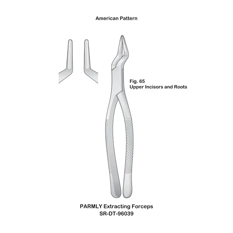 Stainless Steel Dental Extracting Forceps Upper Incisors and Roots