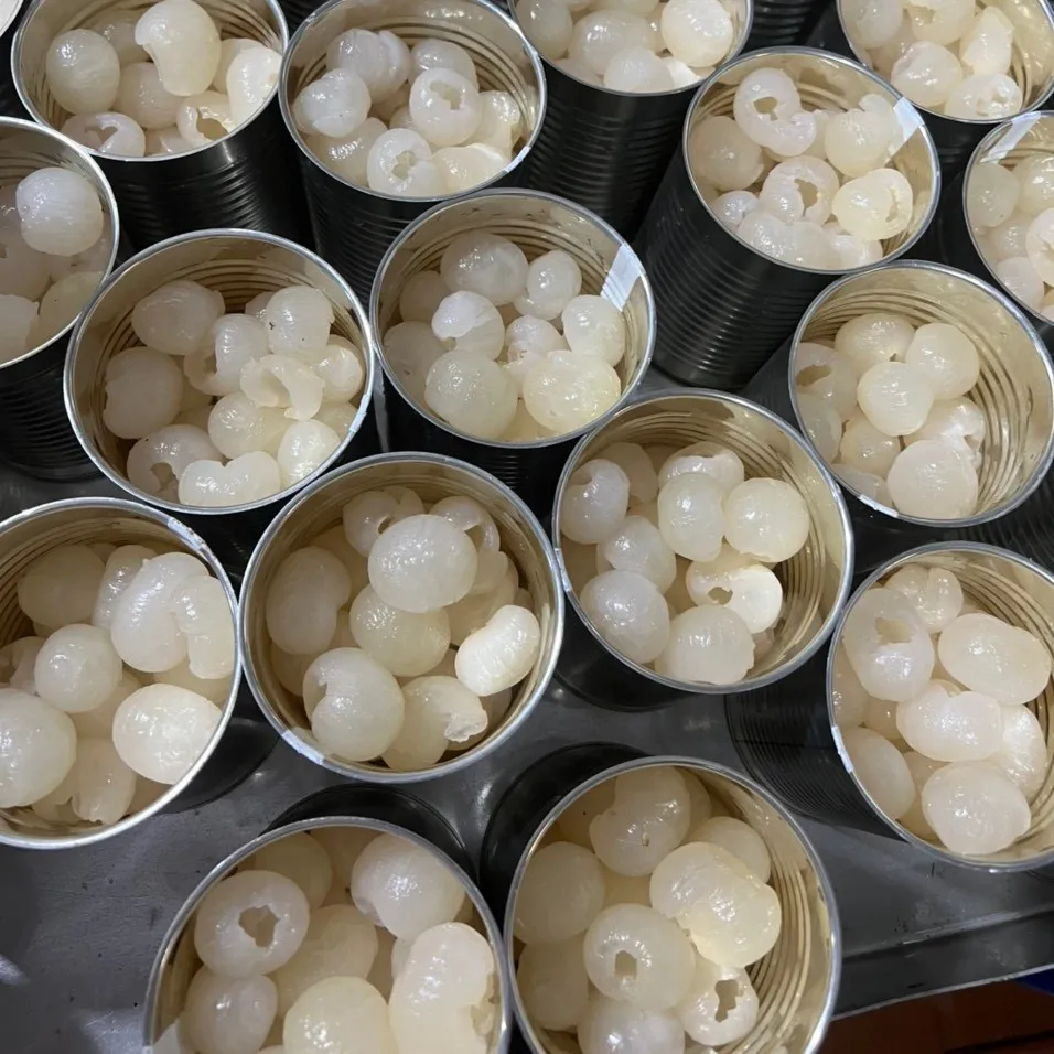 SPECIAL OFFER High Quality OEM Vietnam Canned Longan In Light Syrup With Various Size