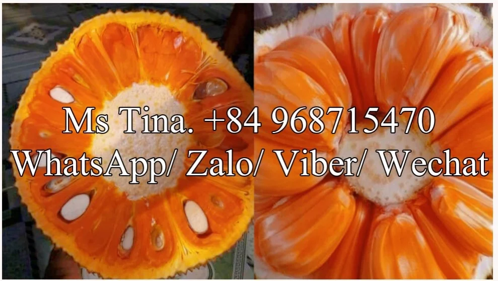 Jackfruit красный цвет Индонезия из Вьетнама/Замораживание процесс IQF Премиум качество