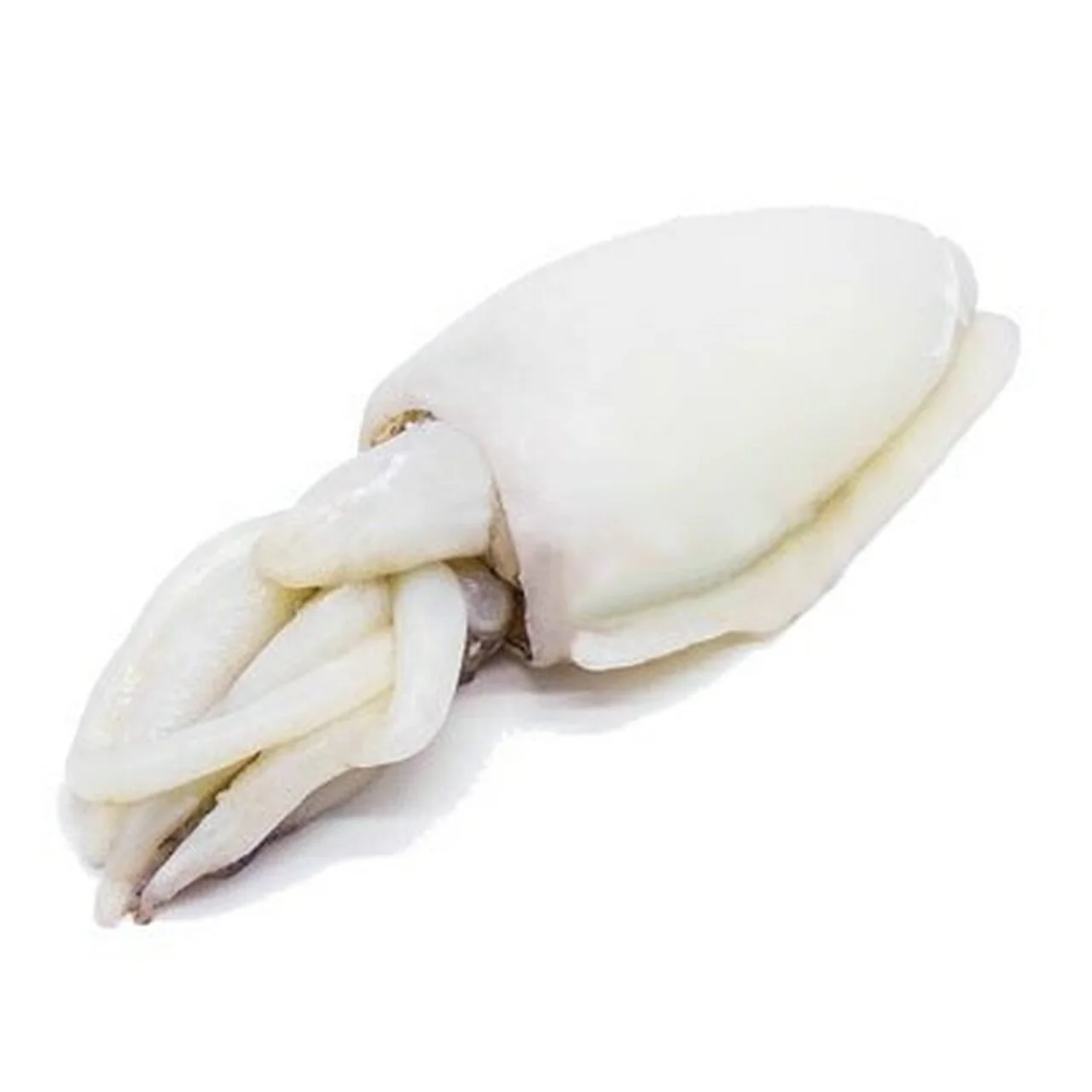 Свежие замороженные высококачественные рыбки цельные