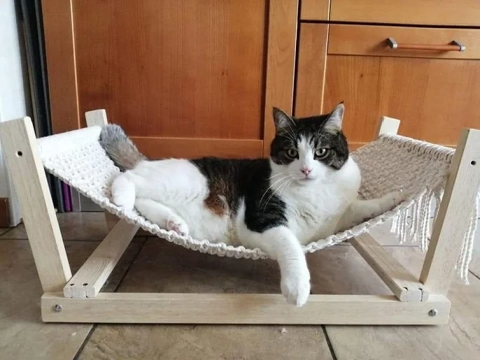 Best selling new design  dogs cats sofa furniture for pet from Vietnam hanging bed for cat