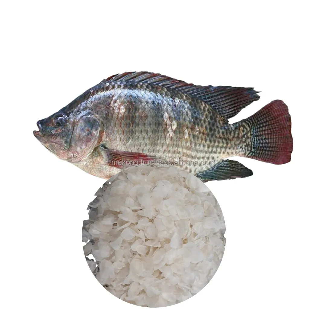Hot Deal Cheap Bulks Mekong Tilapia Fish Scale Making Collagen For Beauty Industries From Viet Nam