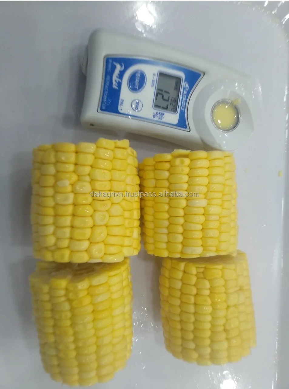 Agriculture GMO Whole Vietnam 24 months Shelf Life Frozen 100% IQF Freezing Process Yellow Corn Whole With Vaccum Packaging