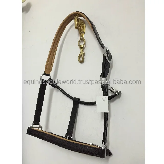 CH HALTER BGPAD 640.jpg