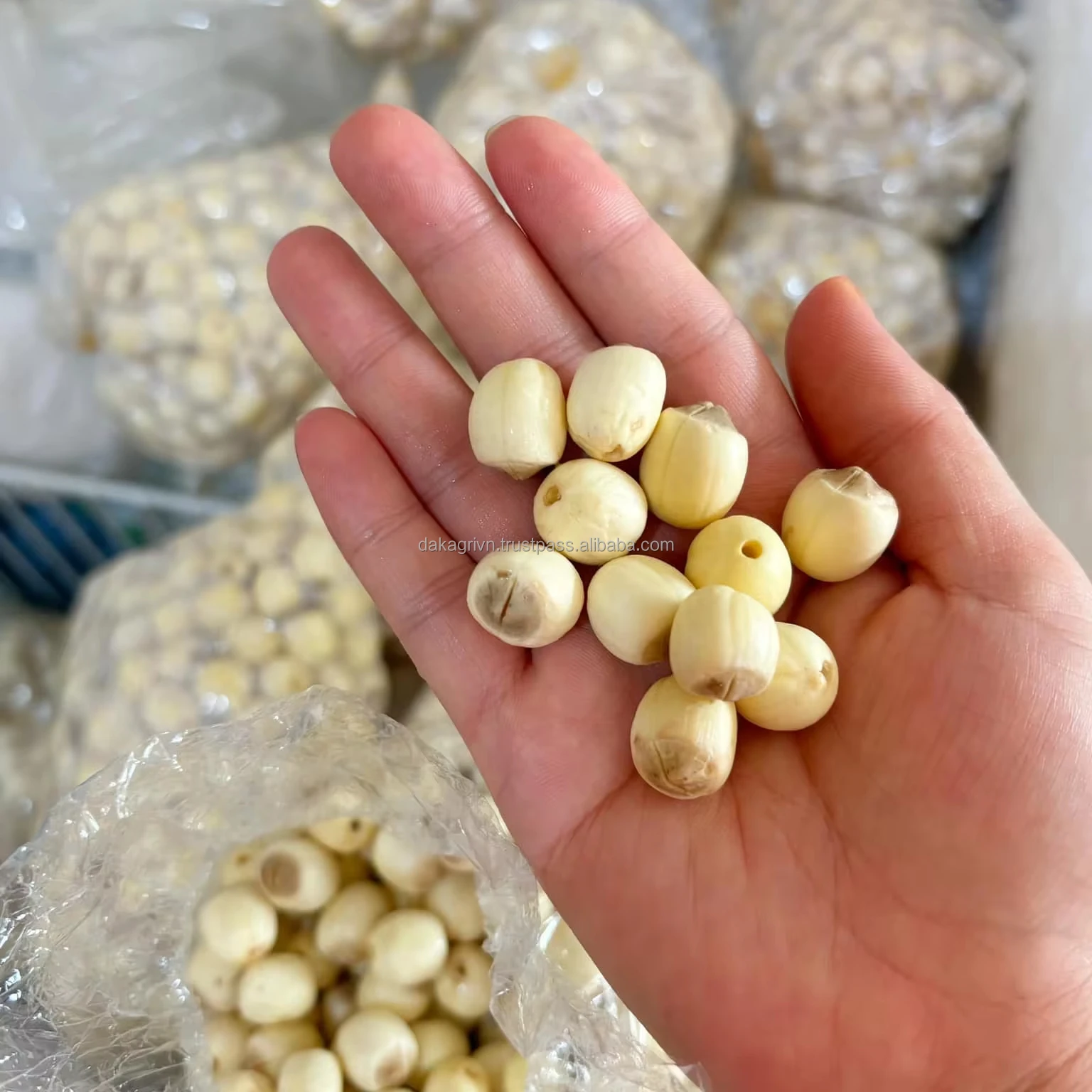 OEM Vietnam Frozen Lotus Seed Packing Vacuum 1kg Net Weight High Quality 24 months Shelf Life Lotus Seed Packing For Wholesales
