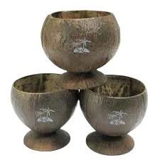 2024 Summer Hot Sale EUD002 Vintage Coconut Tea Cups & Saucers for Ice Cream and Other Beverages, coconut cups