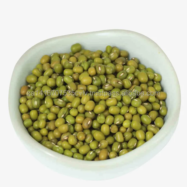 bean-clipart-bowl-bean-18.jpg