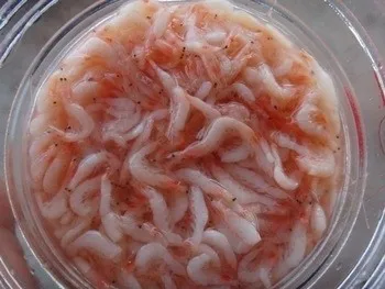 HOT SALE - VIETNAM SALTED BABY SHRIMP TO EXPORT WITH HIGH QUALITY AND BEST PRICE - SEAFOOD SUPPLY