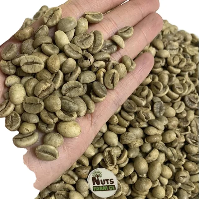 VIETNAMESE ROBUSTA GREEN COFFEE BEANS HIGH QUALITY BEST PRICE- MOQ NEGOTIATE FOR EXPORT