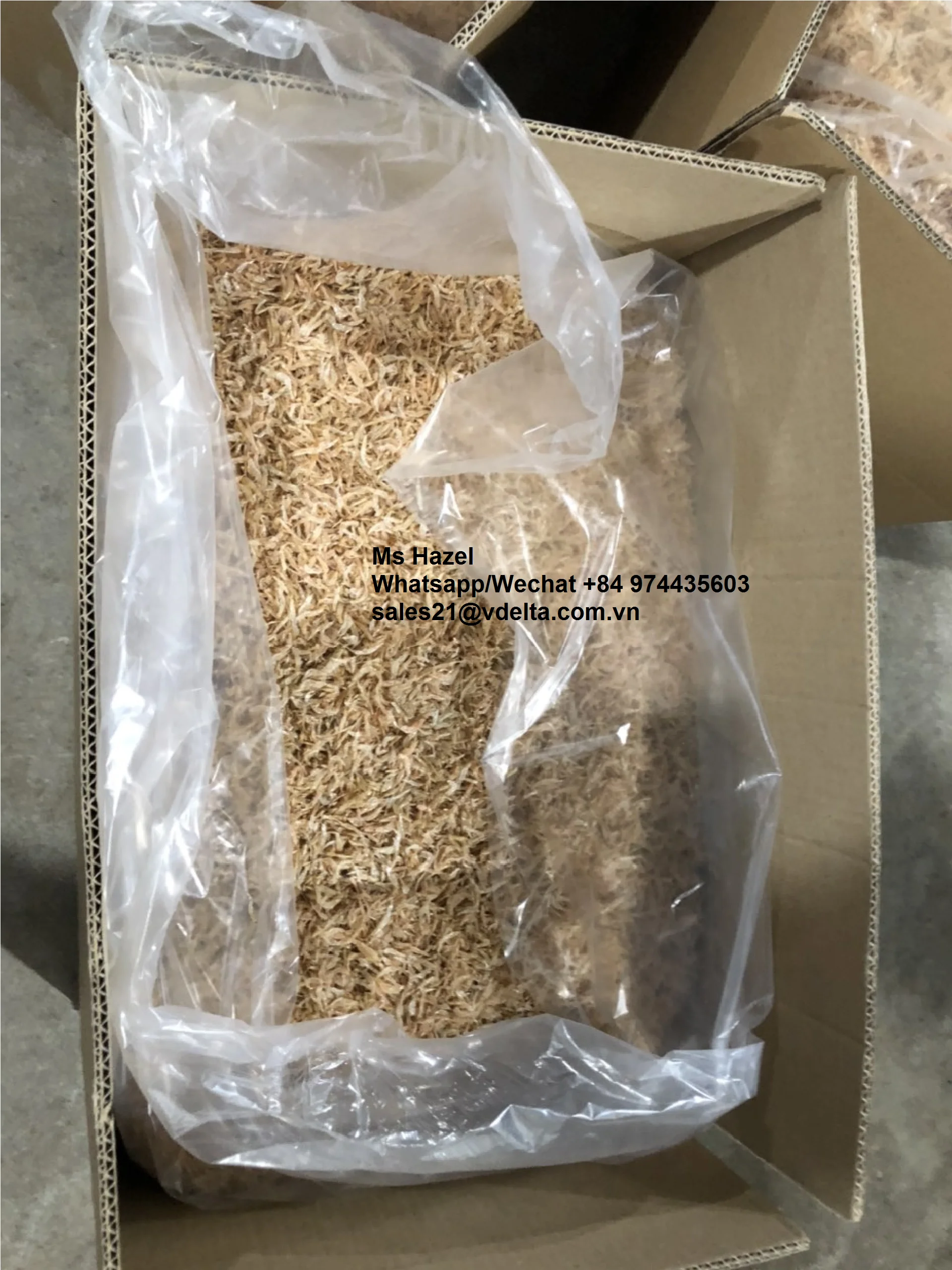 Manufacturer of Dried Baby Shrimp From Vietnam/Dried Acetes/ Mr.Leo +84 965 467 267