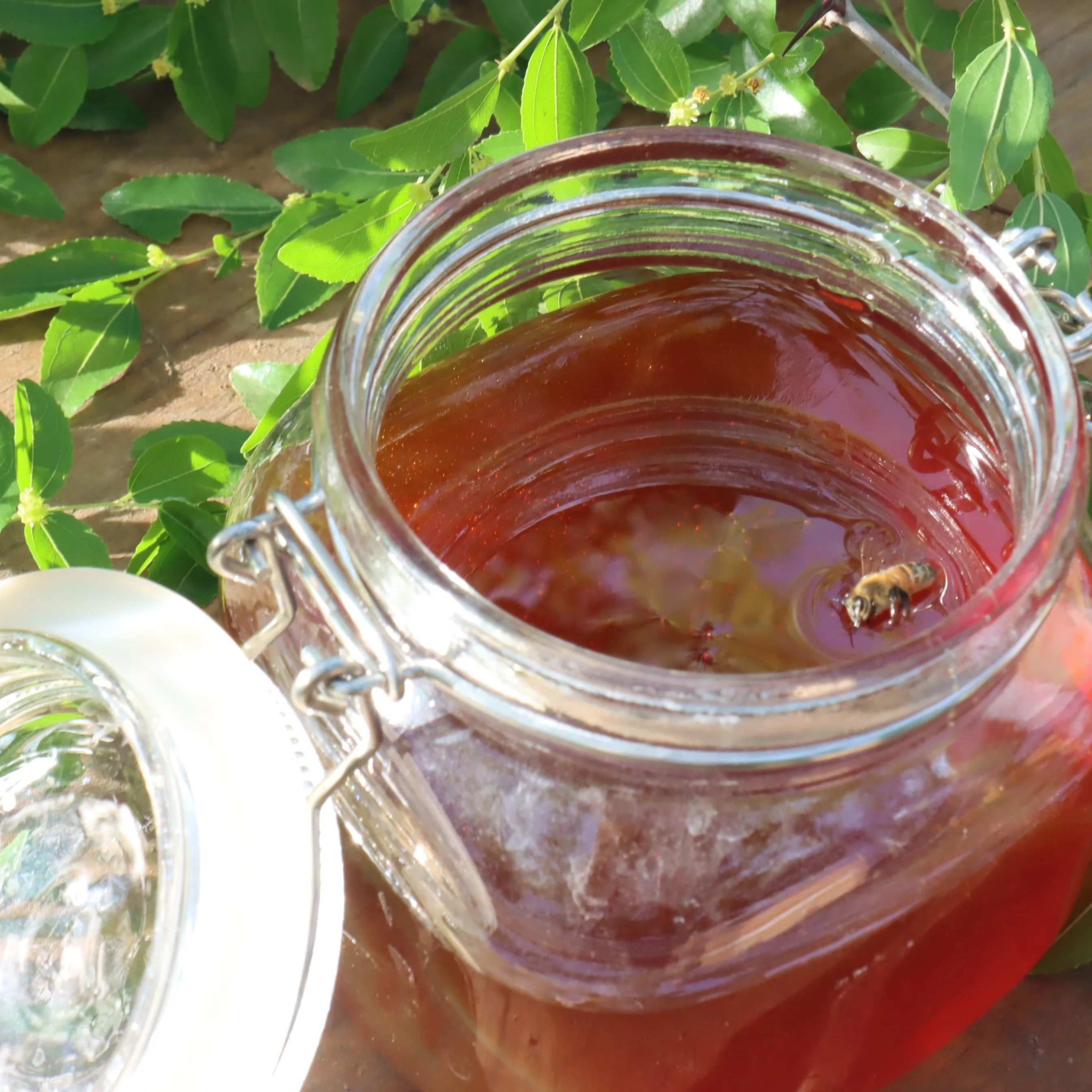 Hot Sell 28KG Bucket Natural Sidr Honey Pure to Yemen Free Bottle Packaging Light Amber / Dark Amber Raw Honey Honey from Spain