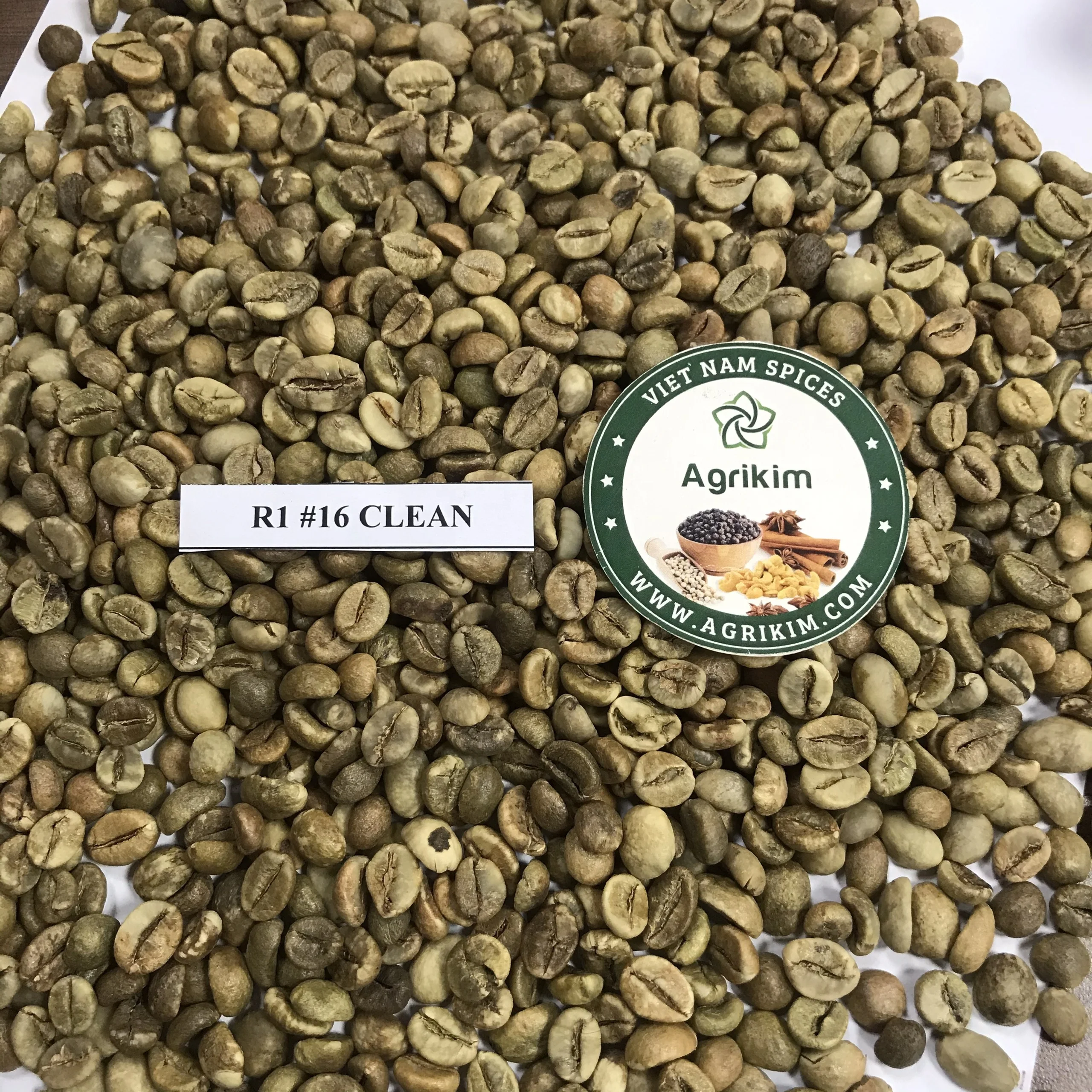 Premium Quality Kirar Raw Roasted Whole Bean Spicailty Arabica Washed 50 kg Strong Good Taste Hot Selling Available in Bulk