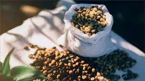 Vietnam wholesales ROBUSTA Green COFFEE BEAN - Robusta Coffee Bean Processing Exporting Quality COFFEE BEAN
