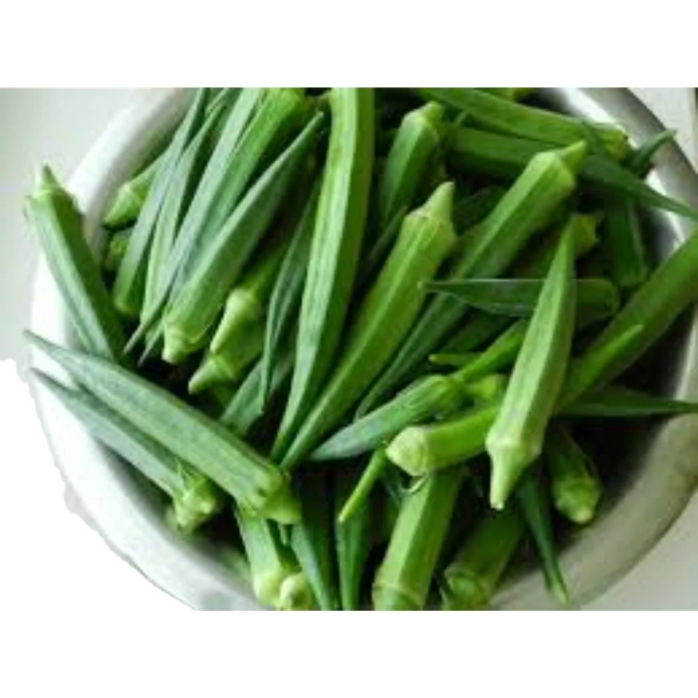 Okra Pusa Sawani / Okra Dark Green for for consumption - MN GLOBAL IMPEX from india