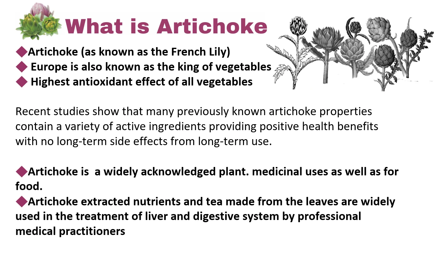 Artichoke tea benefits weight loss