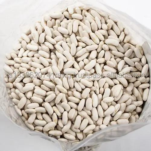 dried_cannellini_beans.jpg