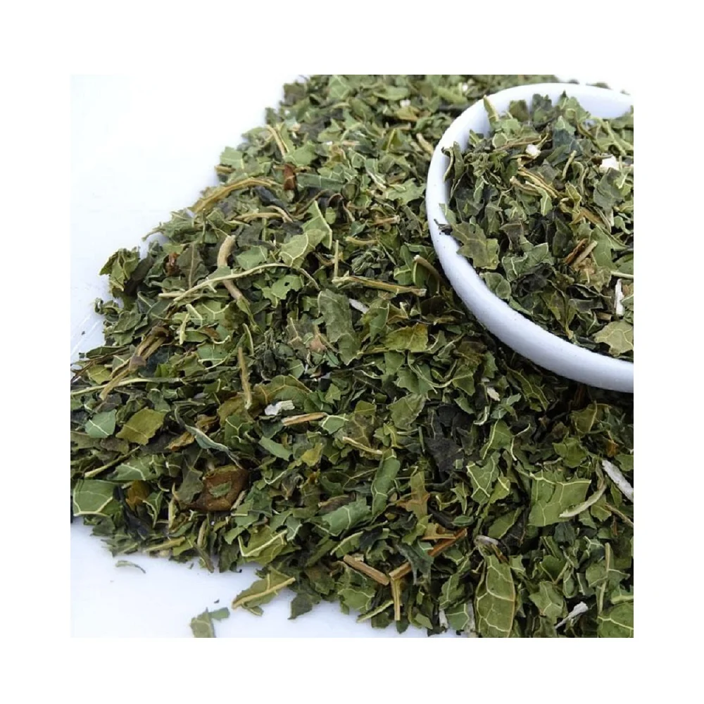 
Herb dried papaya leaves/ wholesale dried papaya leaf/ tea herb from Vietnam 